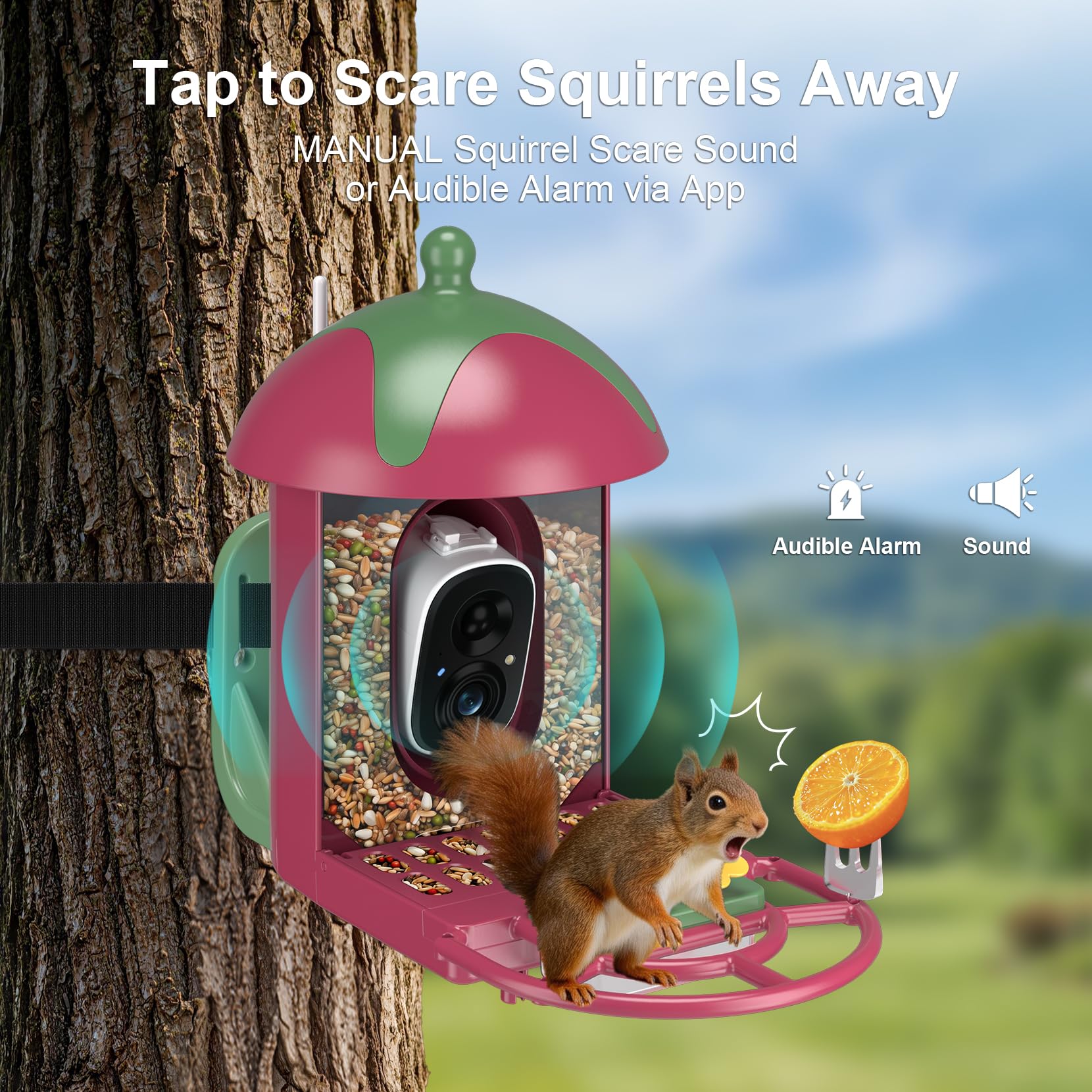 Minikey mounted on a tree with birds, promoting backyard wildlife watching