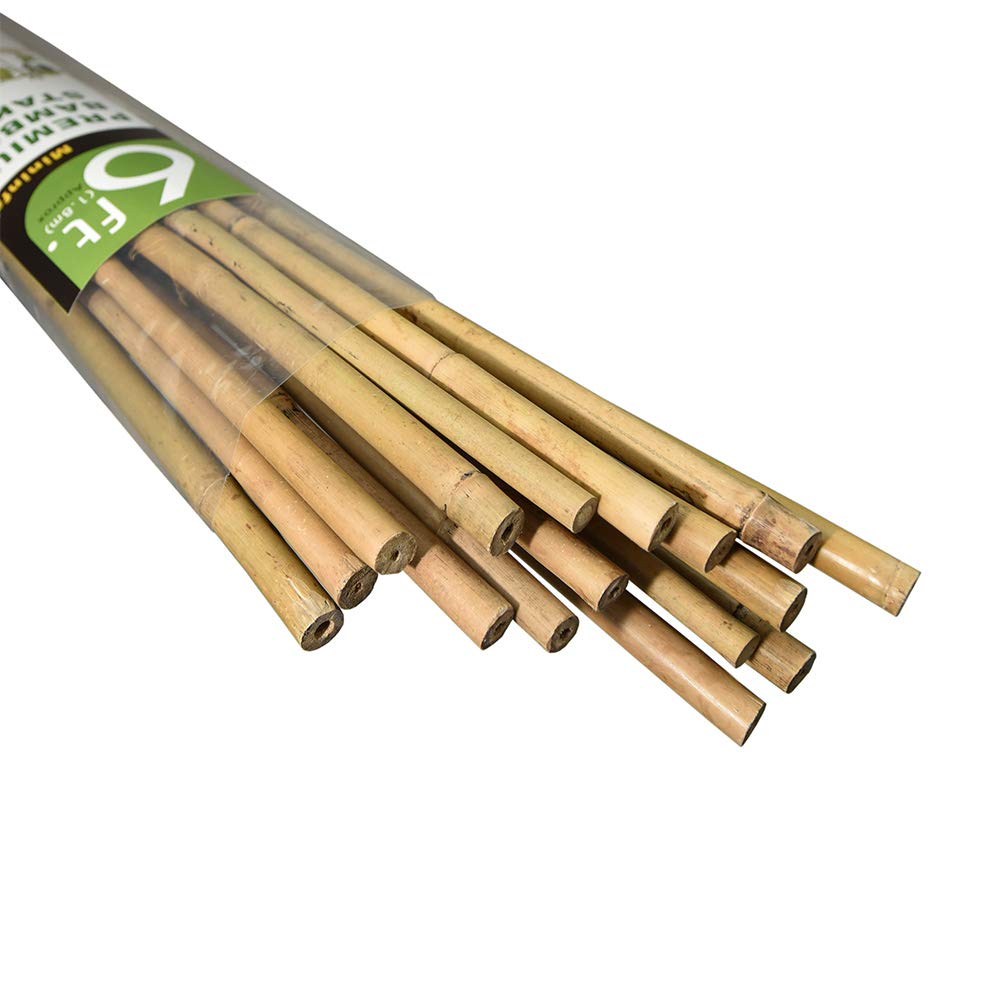 Mininfa front packaging showing 20 bamboo stakes and eco benefit