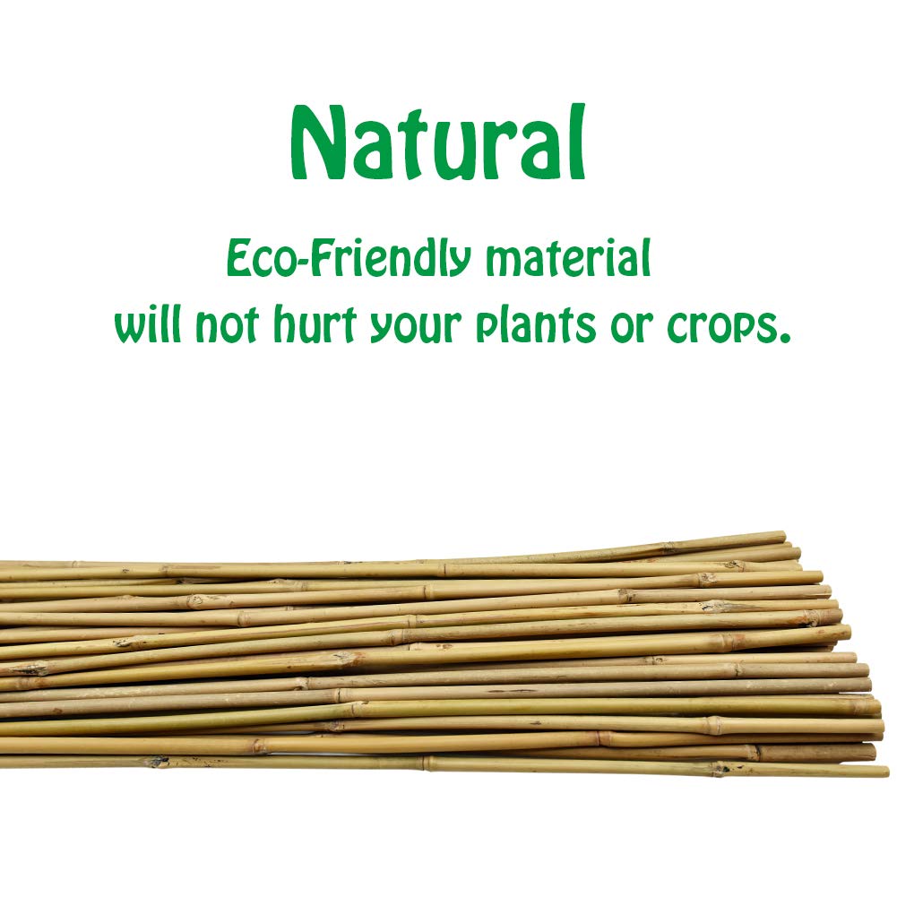 Mininfa close-up bamboo texture showing treated surface and long-lasting durability
