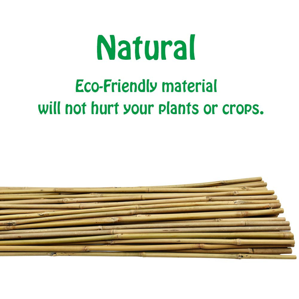 Mininfa close-up bamboo texture showing treated surface and long-lasting durability