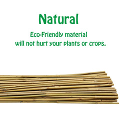 Mininfa close-up bamboo texture showing treated surface and long-lasting durability