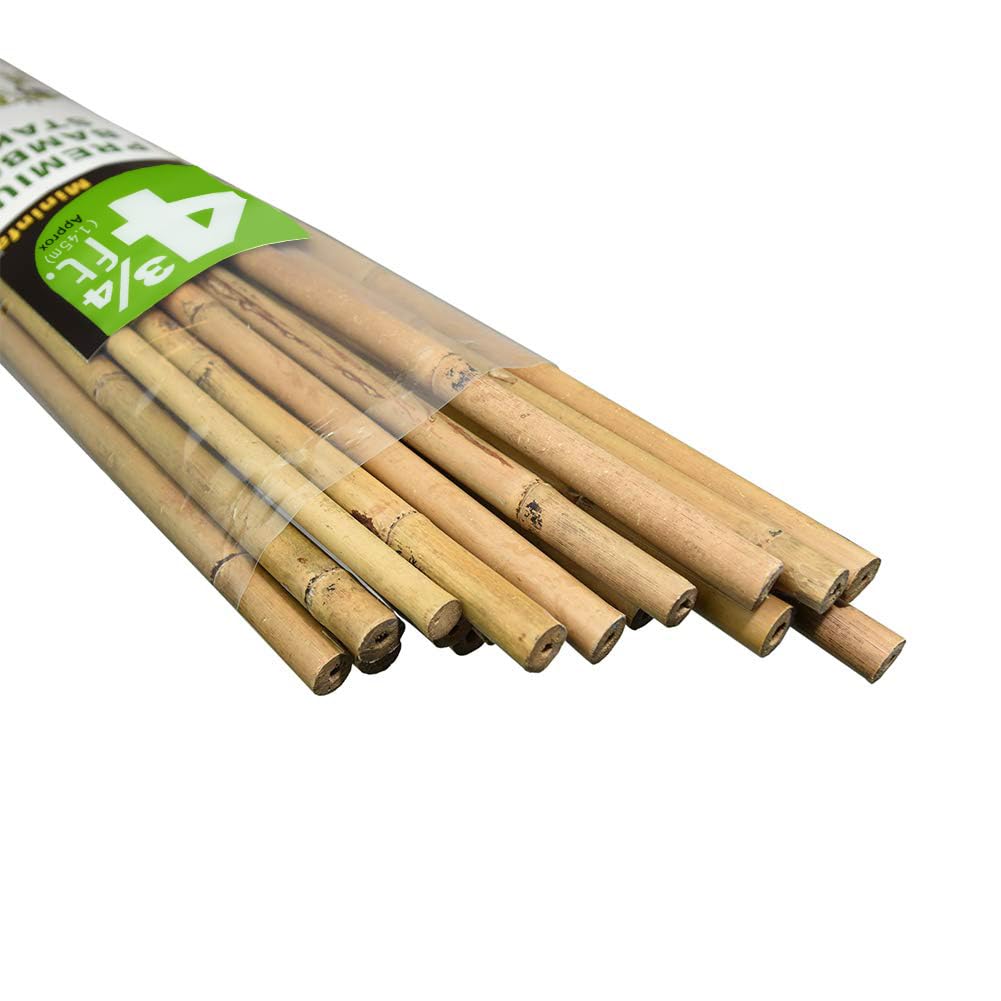 Mininfa front view of 20-pack bamboo stakes showing eco-friendly packaging and benefit of quantity