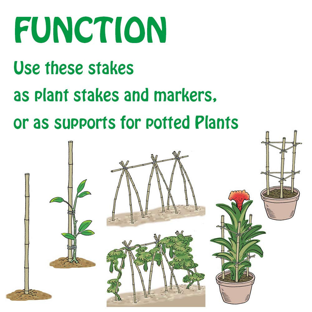 Mininfa stakes assembled into a trellis illustrating easy construction and strong vine support