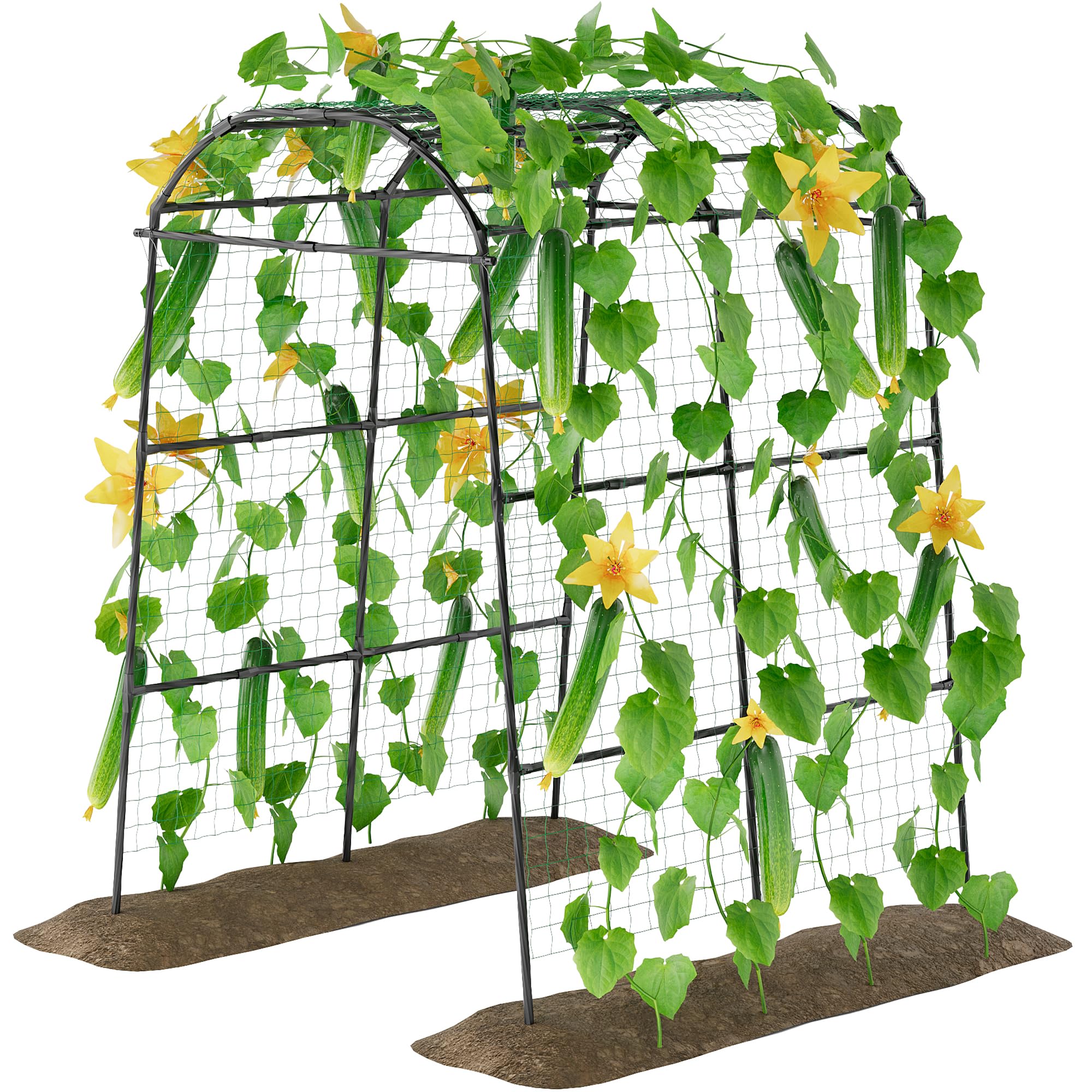 Miory arch trellis front view showing full 7ft height and clean lines for support