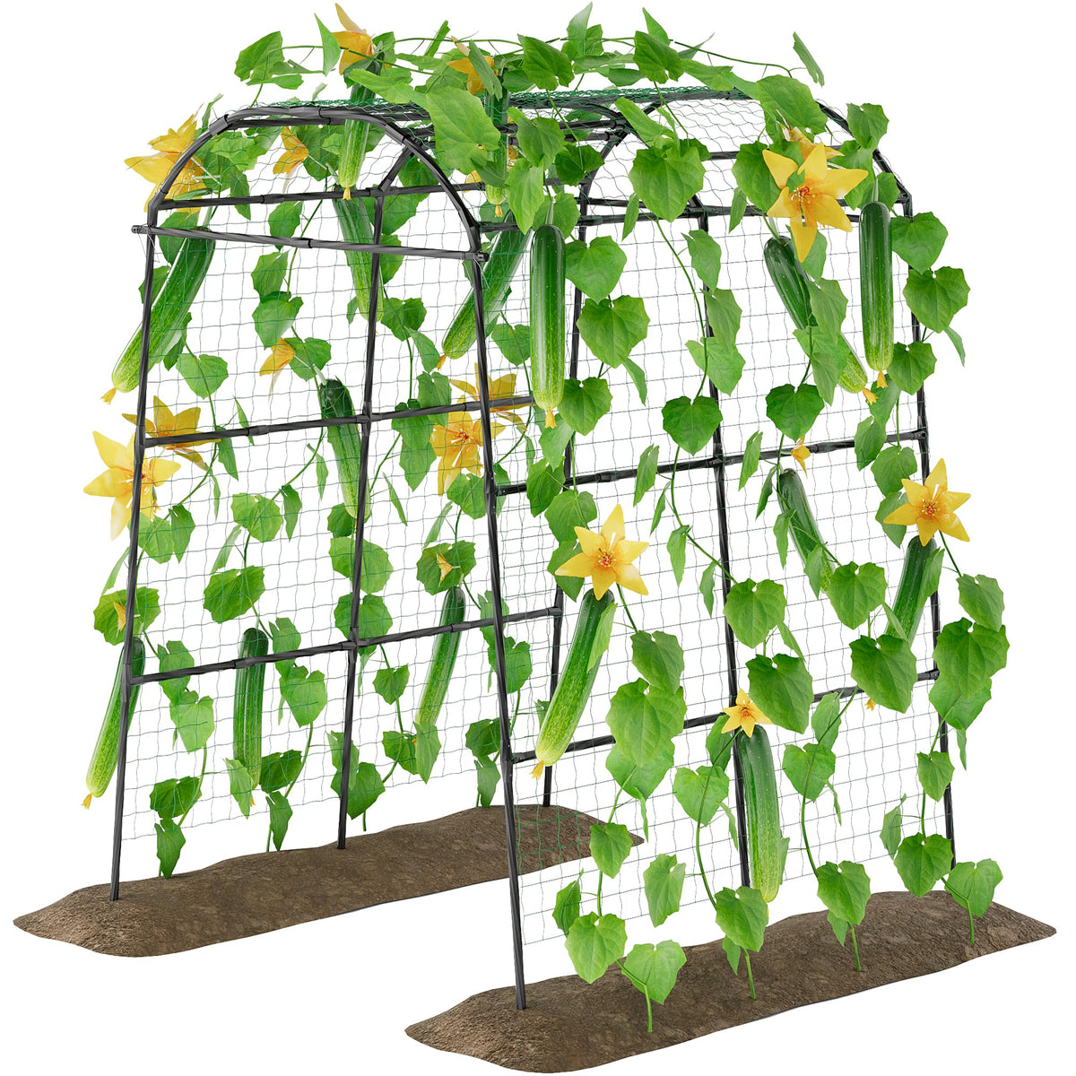 Miory arch trellis front view showing full 7ft height and clean lines for support