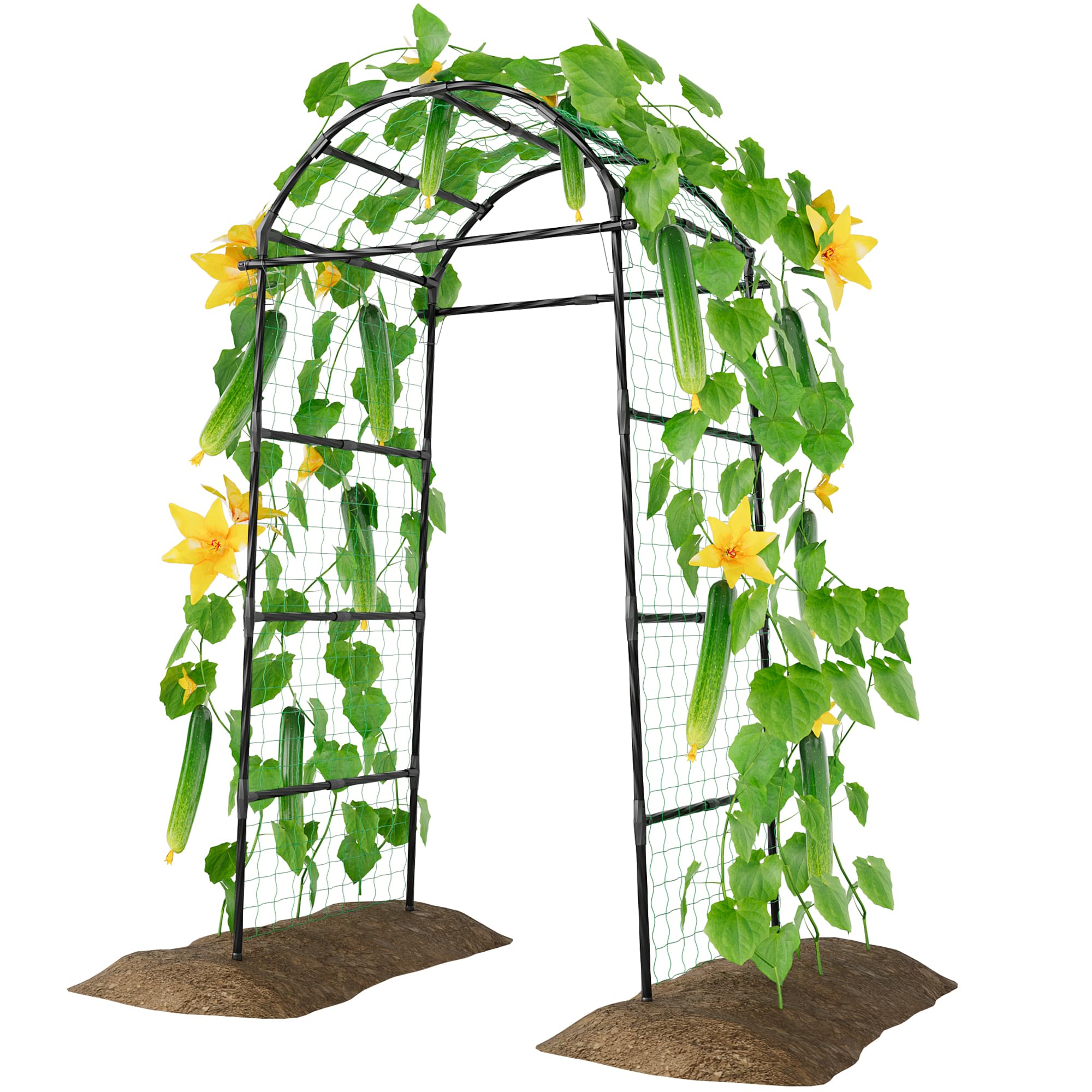 Miory arch trellis front view showing sturdy frame and clean silhouette