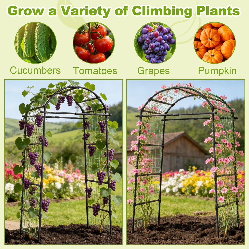 Miory arch laden with cucumbers illustrating reliable fruit support