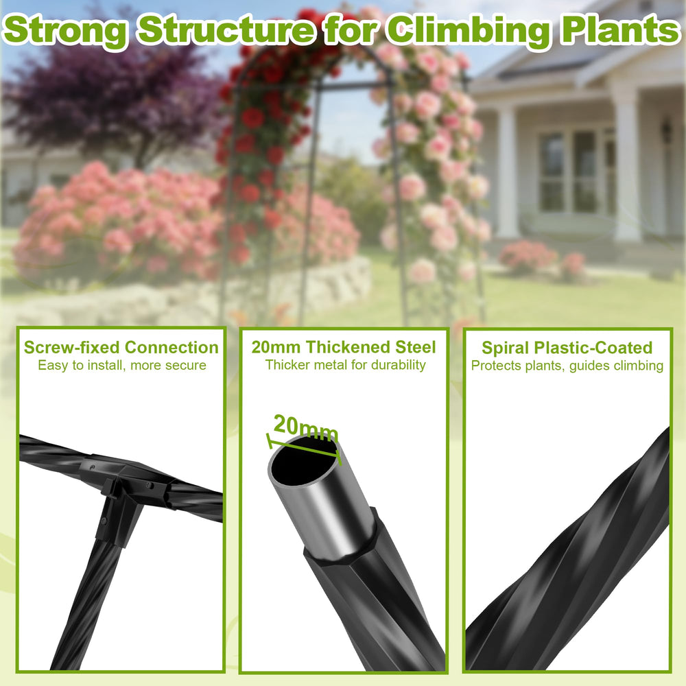 Miory arch loaded with heavy vines and fruit showing strong stable support