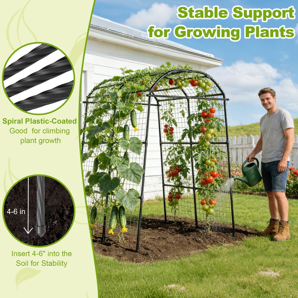 Miory arch installed in a raised bed showing space-saving vertical growth