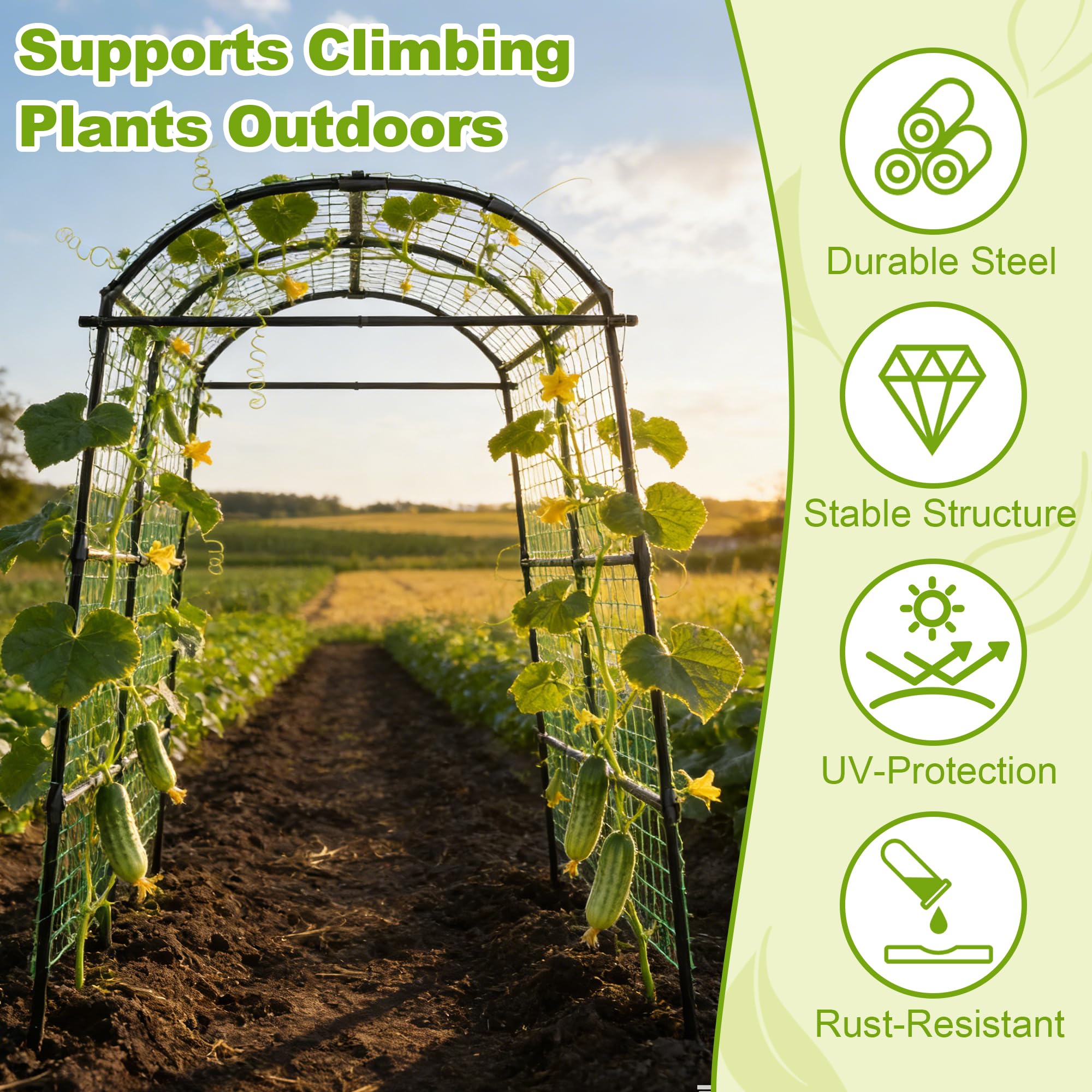 Miory arch with person for scale demonstrating 7ft clearance and harvesting ease