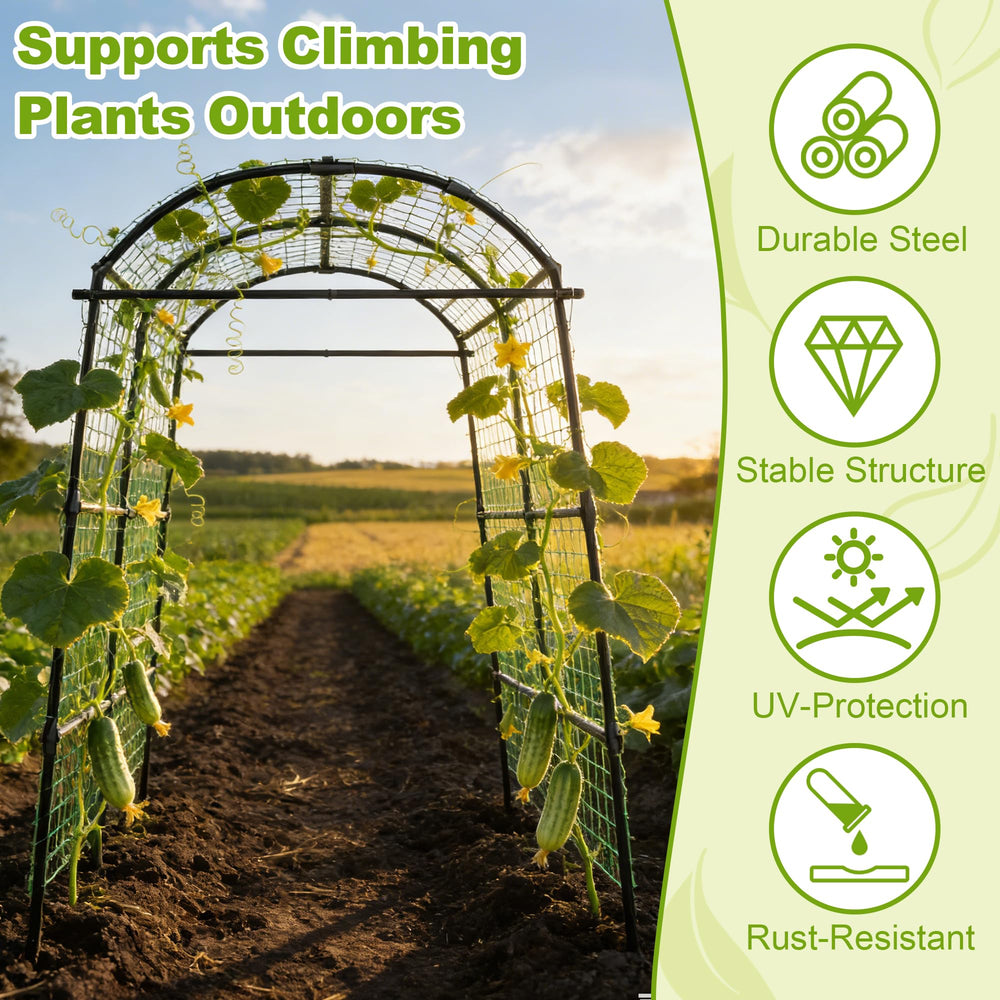 Miory arch with person for scale demonstrating 7ft clearance and harvesting ease