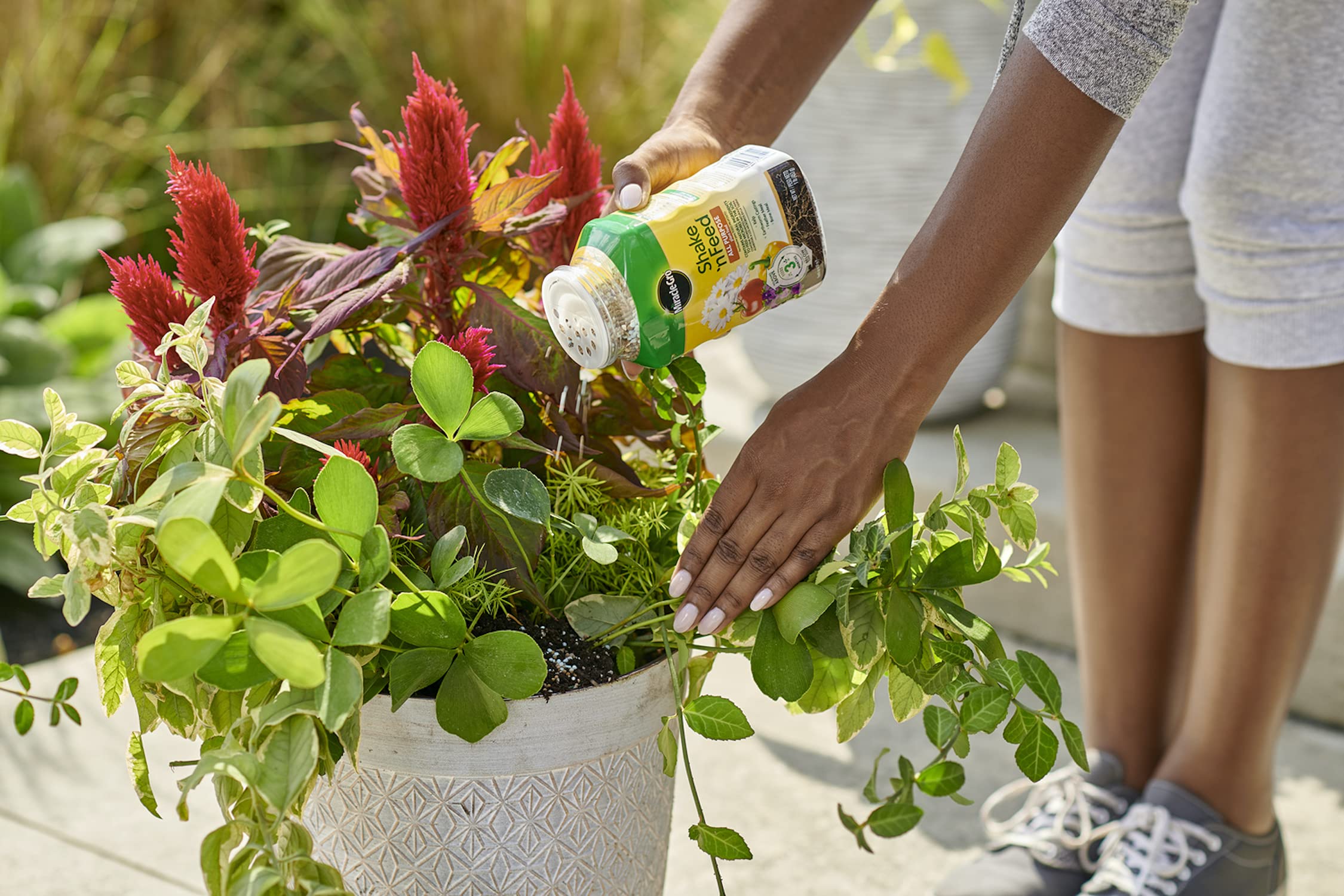 Miracle-Gro 1 lb pack next to gardening tools showing compact convenient size