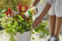Miracle-Gro 1 lb pack next to gardening tools showing compact convenient size