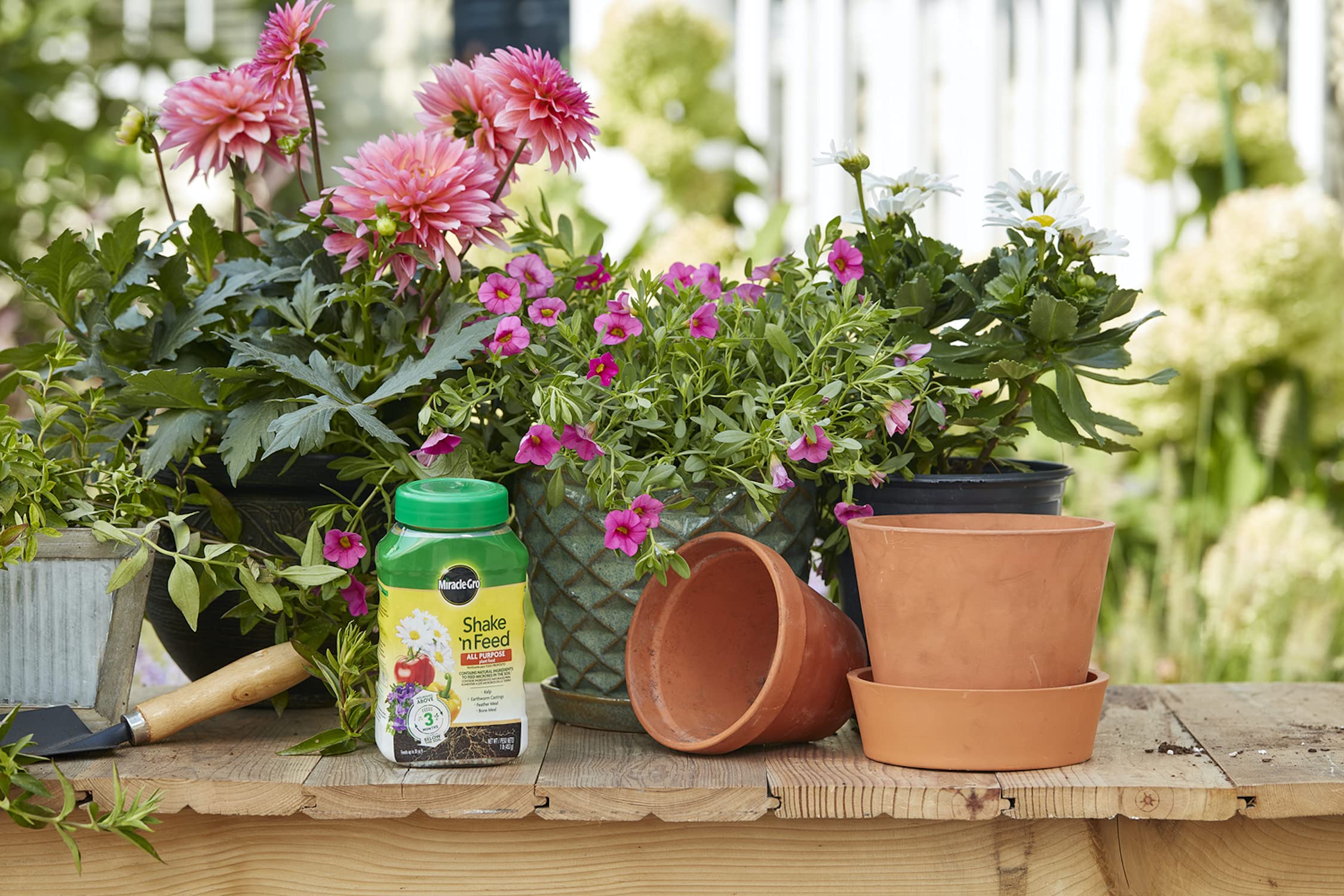 Miracle-Gro being sprinkled into a container promoting healthy root growth