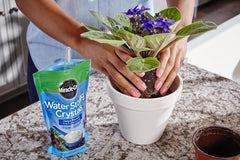 Miracle-Gro tamaño del paquete comparado con una mano para escala