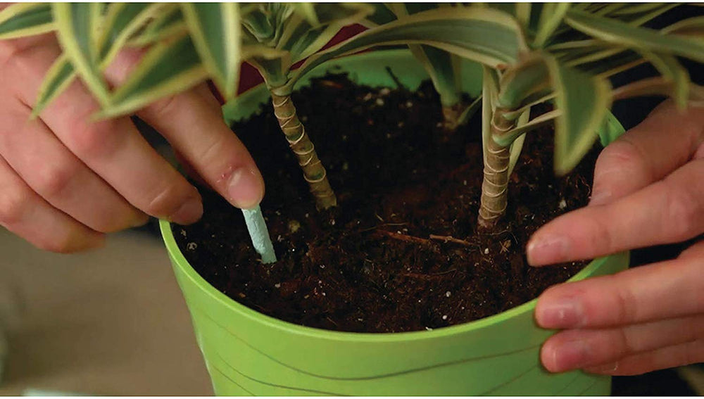 Miracle-Gro uso en sala con planta decorativa mostrando fácil mantenimiento interior