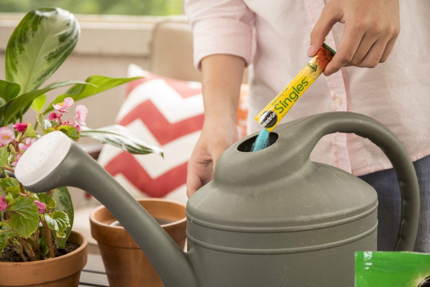 Miracle-Gro being poured into a potted plant to promote healthy growth