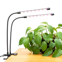 Miracle-Gro front view clip mounted showing stable setup and targeted light