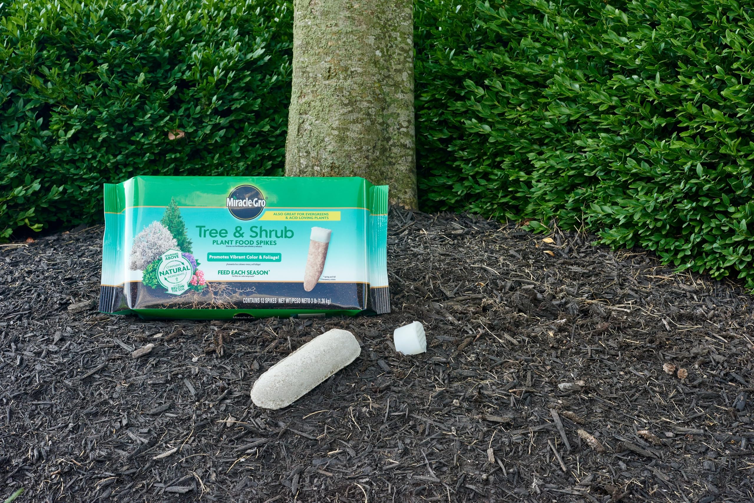 miracle-gro spikes used around ornamental trees in a backyard setting showing healthier foliage