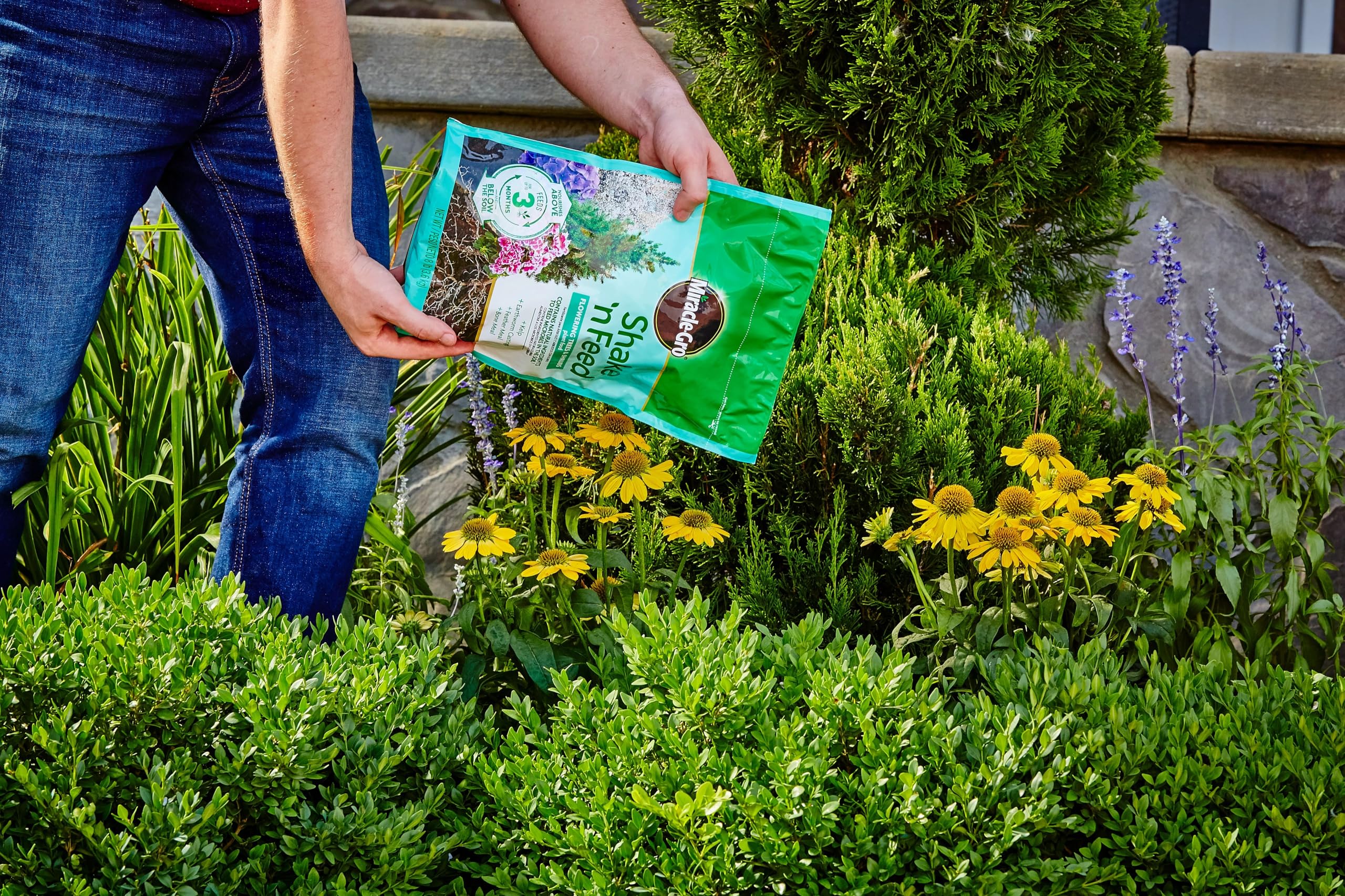 Miracle-Gro granular texture close-up showing evenly spread slow-release particles