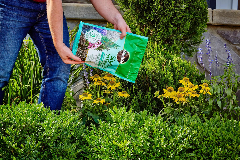 Miracle-Gro granular texture close-up showing evenly spread slow-release particles