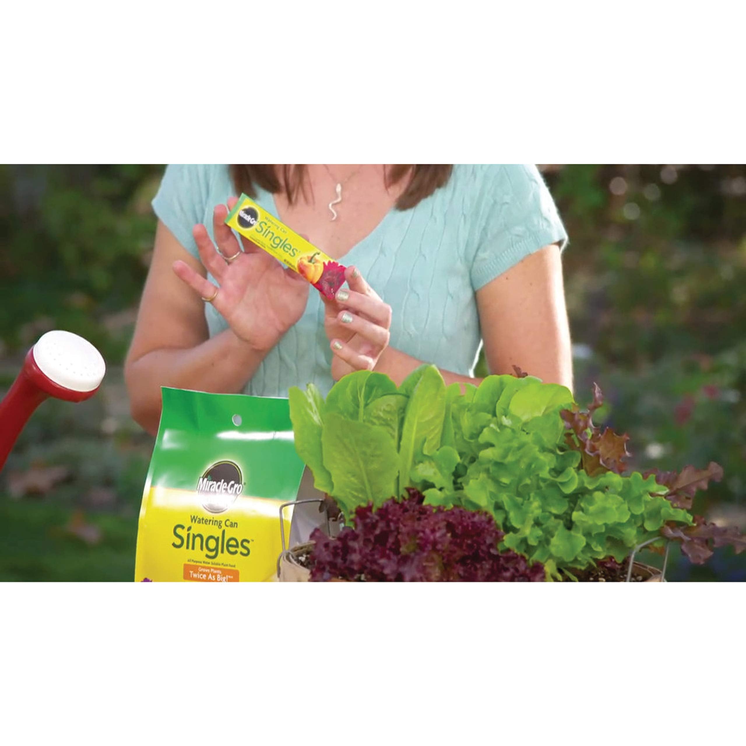 Miracle-Gro applied to a hanging basket for fuller blooms and ease