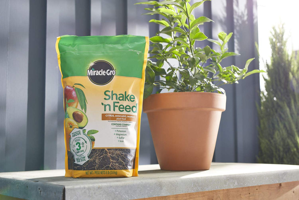 Miracle-Gro on a patio with citrus and avocado plants demonstrating usable results