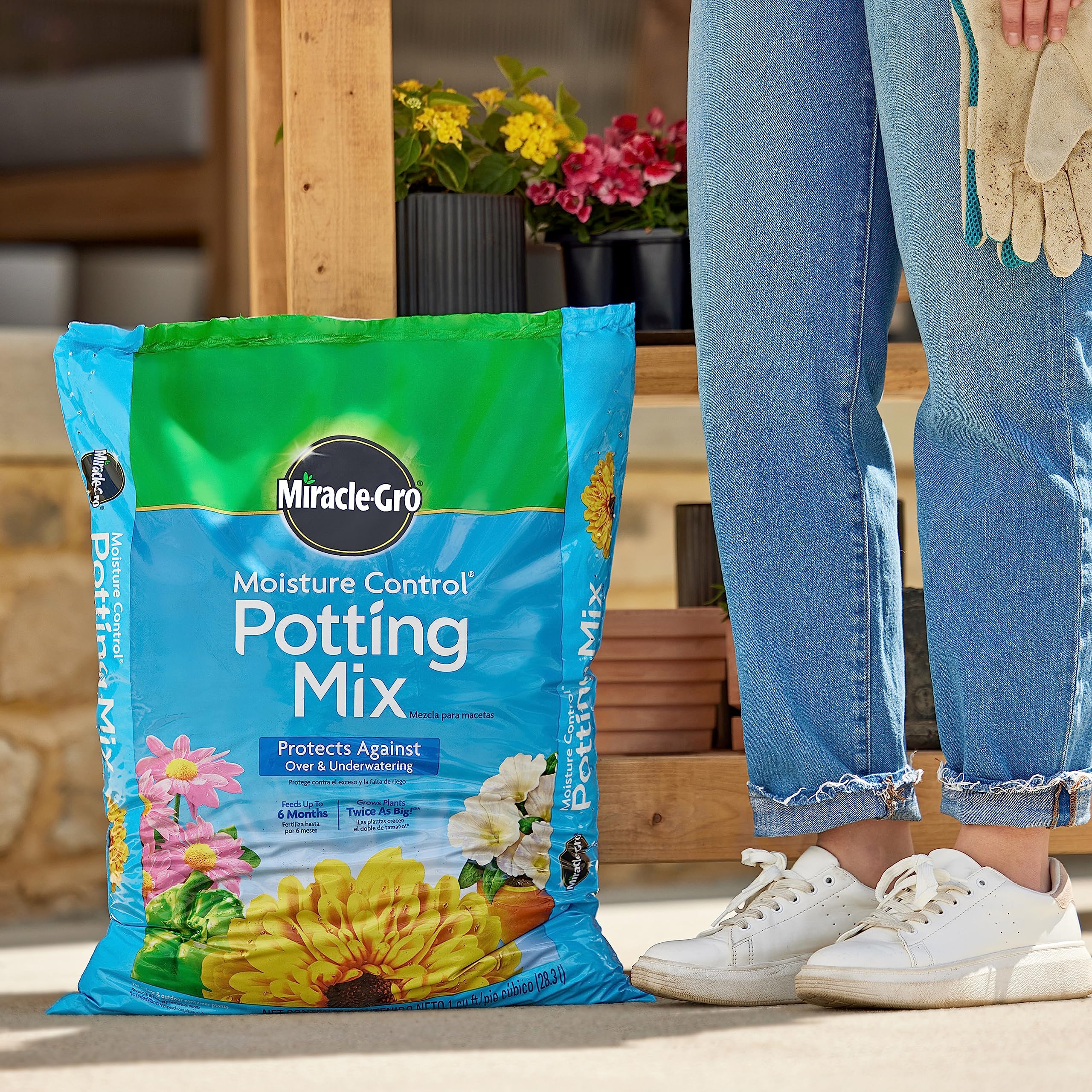 Miracle-Gro used in hanging basket showing lush flowers and hydration