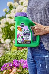 Miracle-Gro being applied to a rose bed for healthier blooms benefit