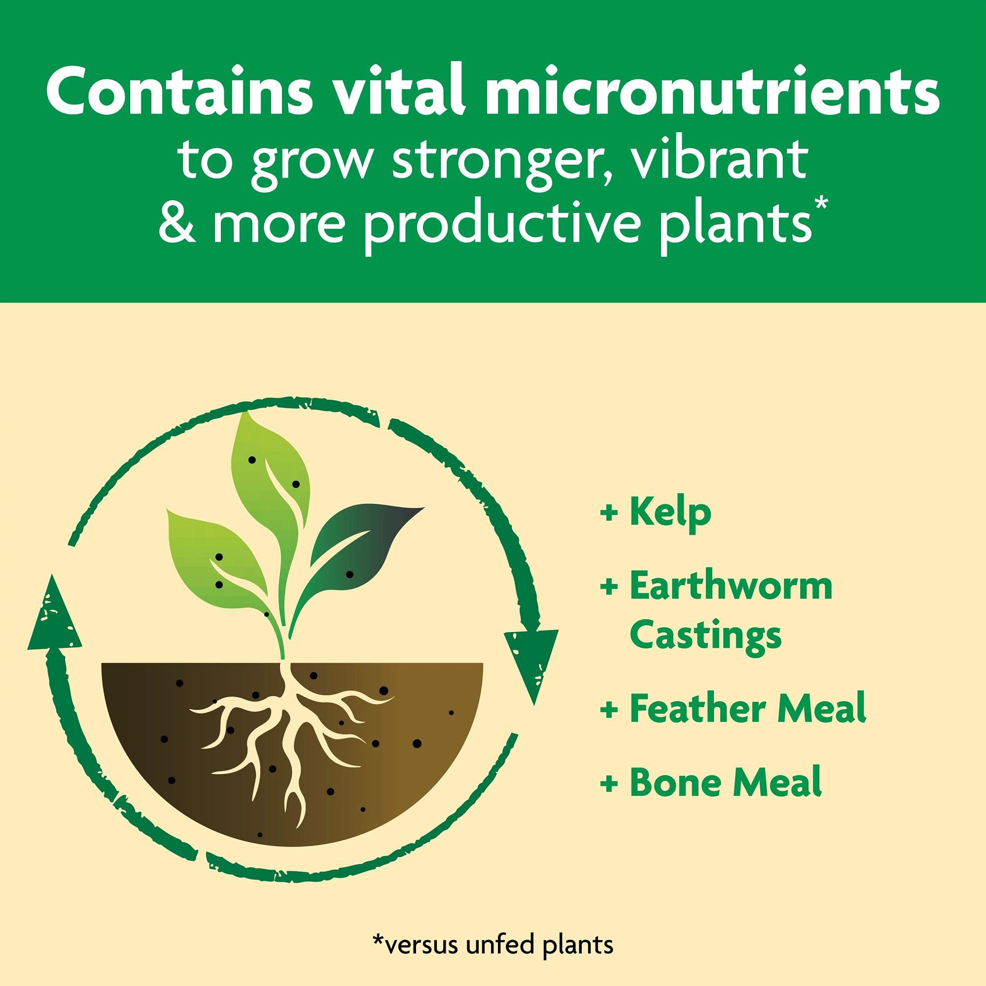 Miracle-Gro used on potted plants to support healthier container growth