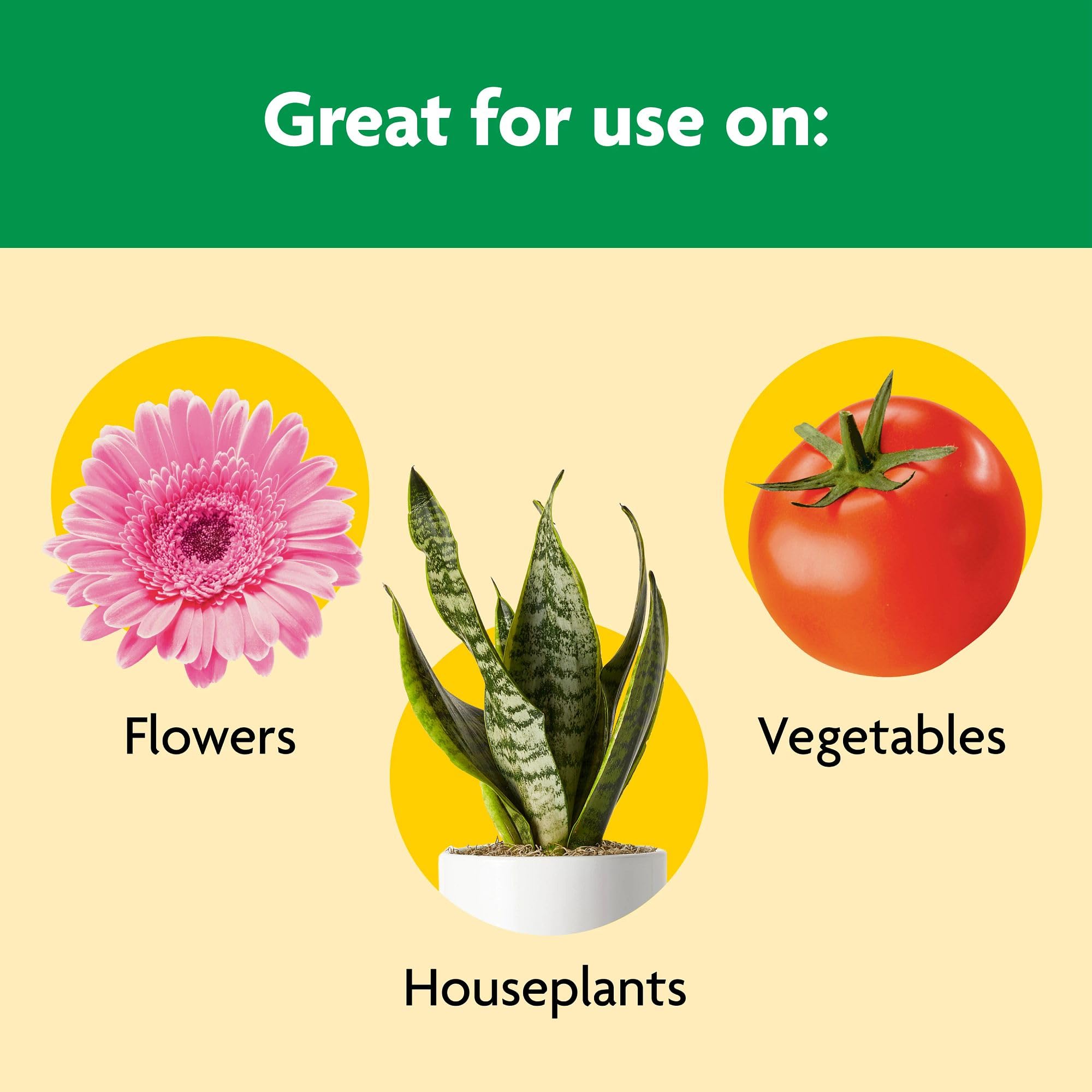 Miracle-Gro shaking granules onto garden soil for easy feeding