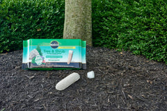 Miracle-Gro spikes inserted in soil near shrub roots for targeted feeding benefit