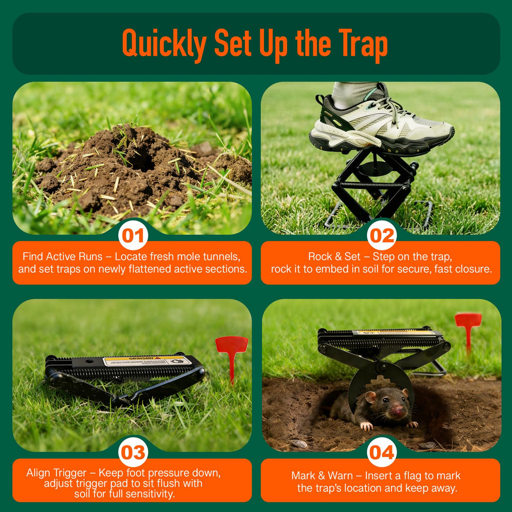 Misoull trap installed in lawn demonstrating proper placement to protect grass and gardens