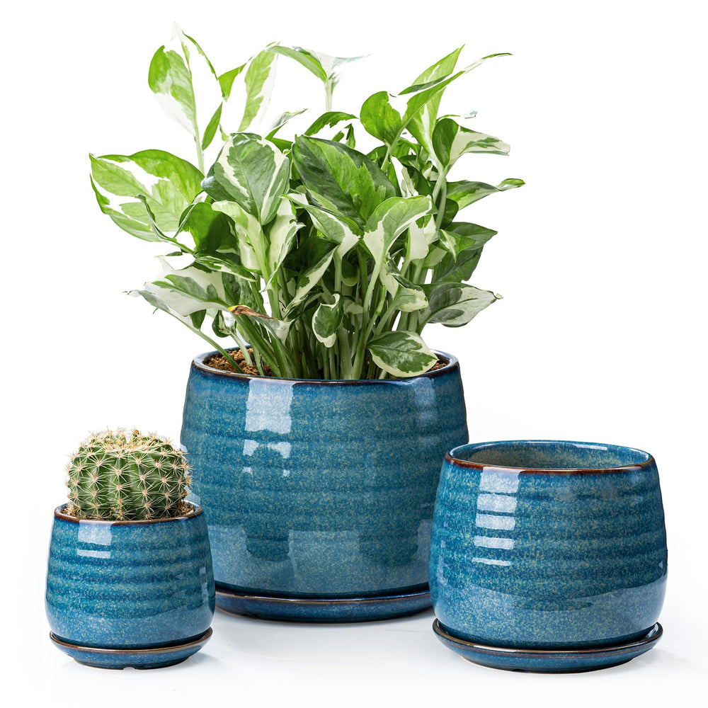 MISSYSSIM front view of three blue pots showing coordinated look and curb appeal