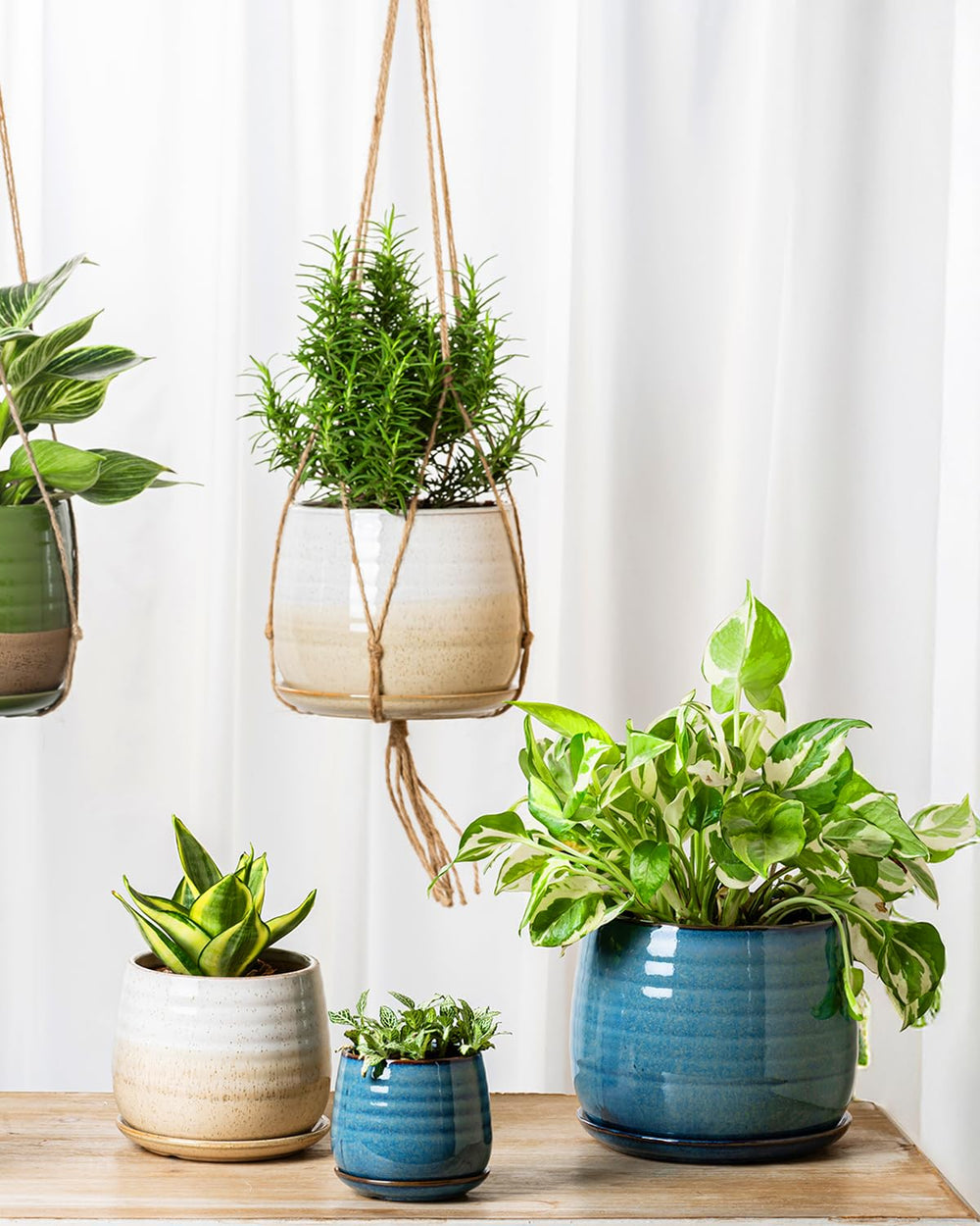 MISSYSSIM boxed and ribboned as a gift-ready planter set for housewarmings