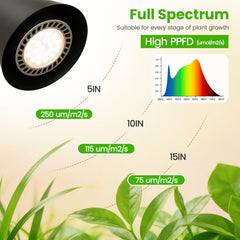 MistyJungle close-up of aluminum SMD bulbs for efficient heat management