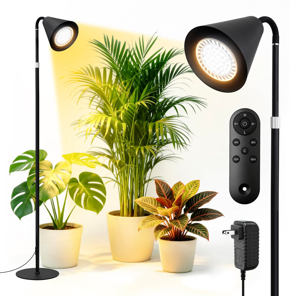 MistyJungle front view of lamp showing sleek shade and plant benefit
