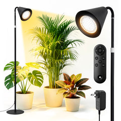 MistyJungle front view of lamp showing sleek shade and plant benefit
