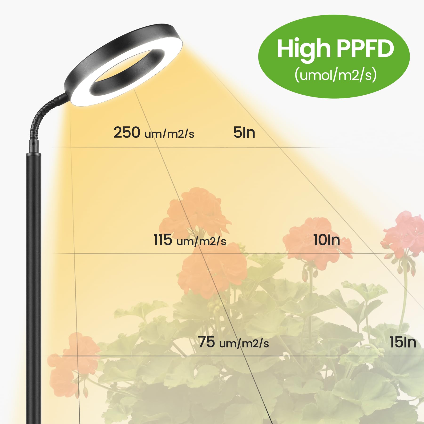 MistyJungle three height settings displayed to show scale and versatility