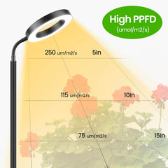 MistyJungle three height settings displayed to show scale and versatility