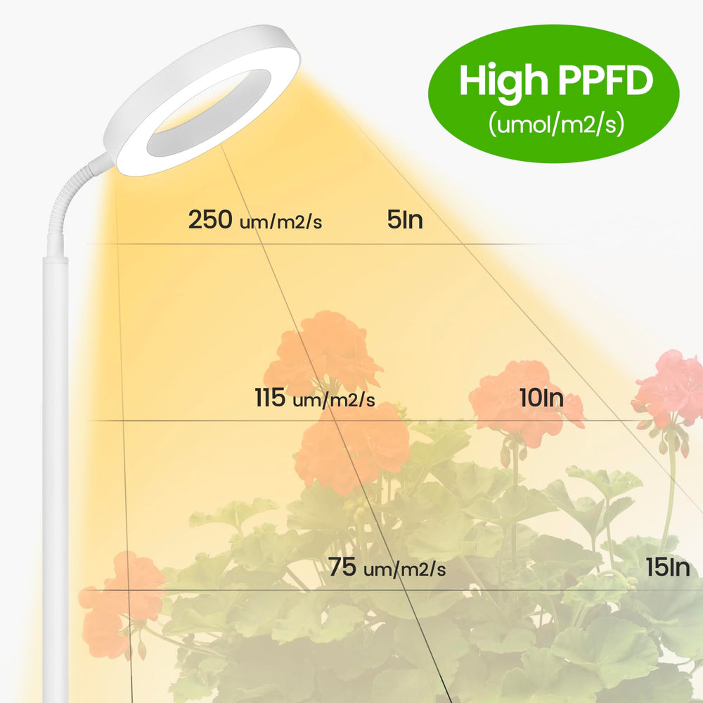 MistyJungle adjustable pole showing height options to fit different plant sizes