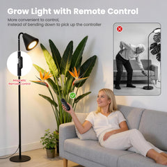 MistyJungle lamp fully extended to 63 inches demonstrating scale