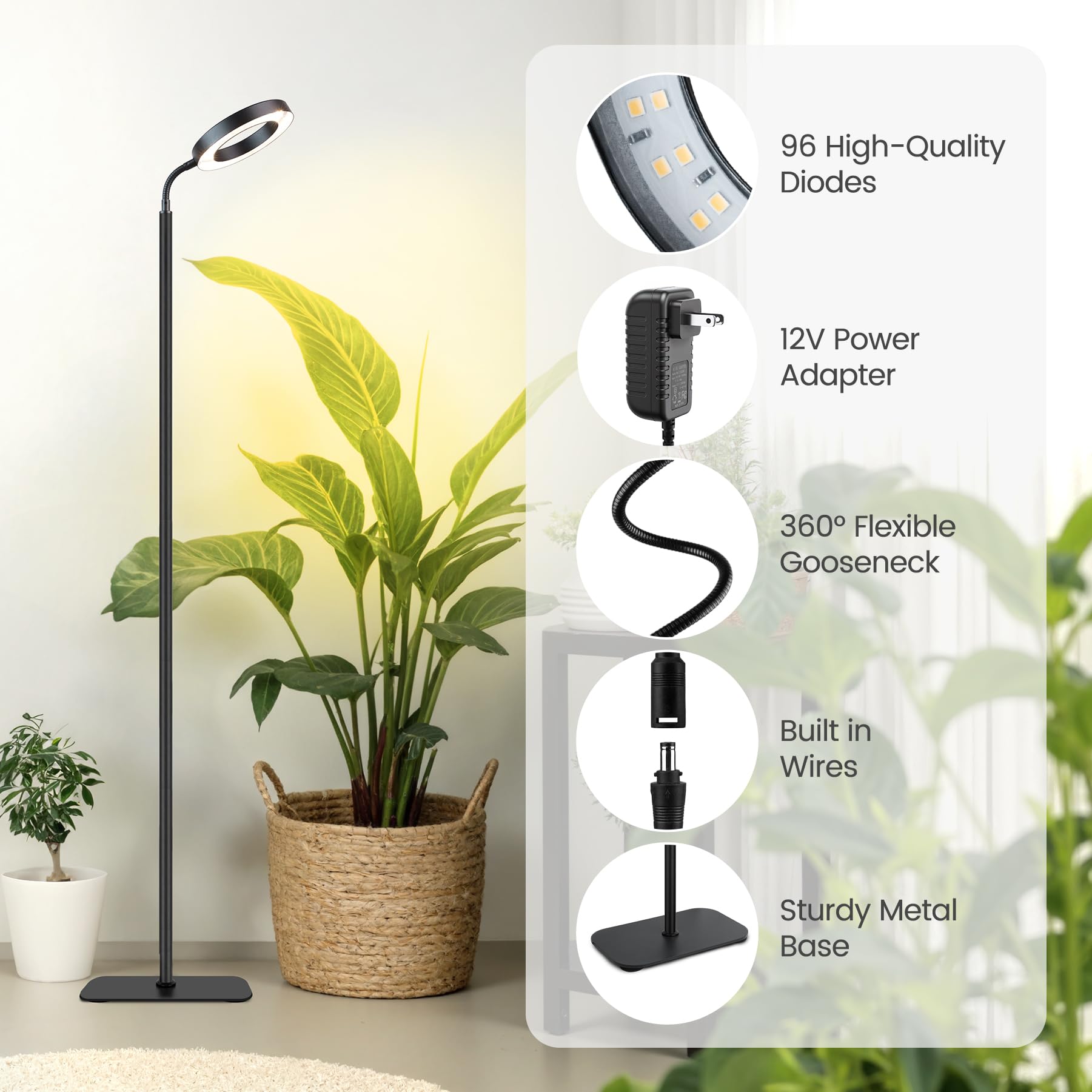 MistyJungle product label and 12V adapter demonstrating safe power supply