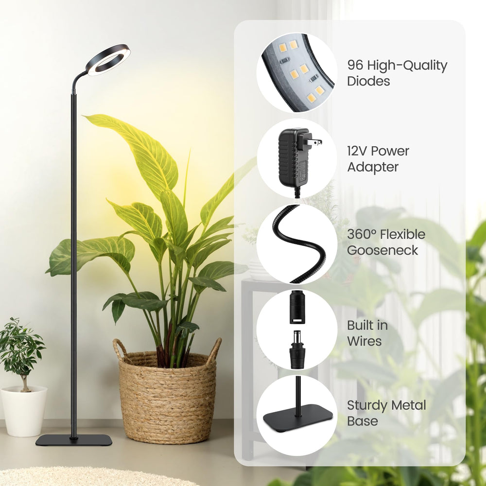 MistyJungle product label and 12V adapter demonstrating safe power supply