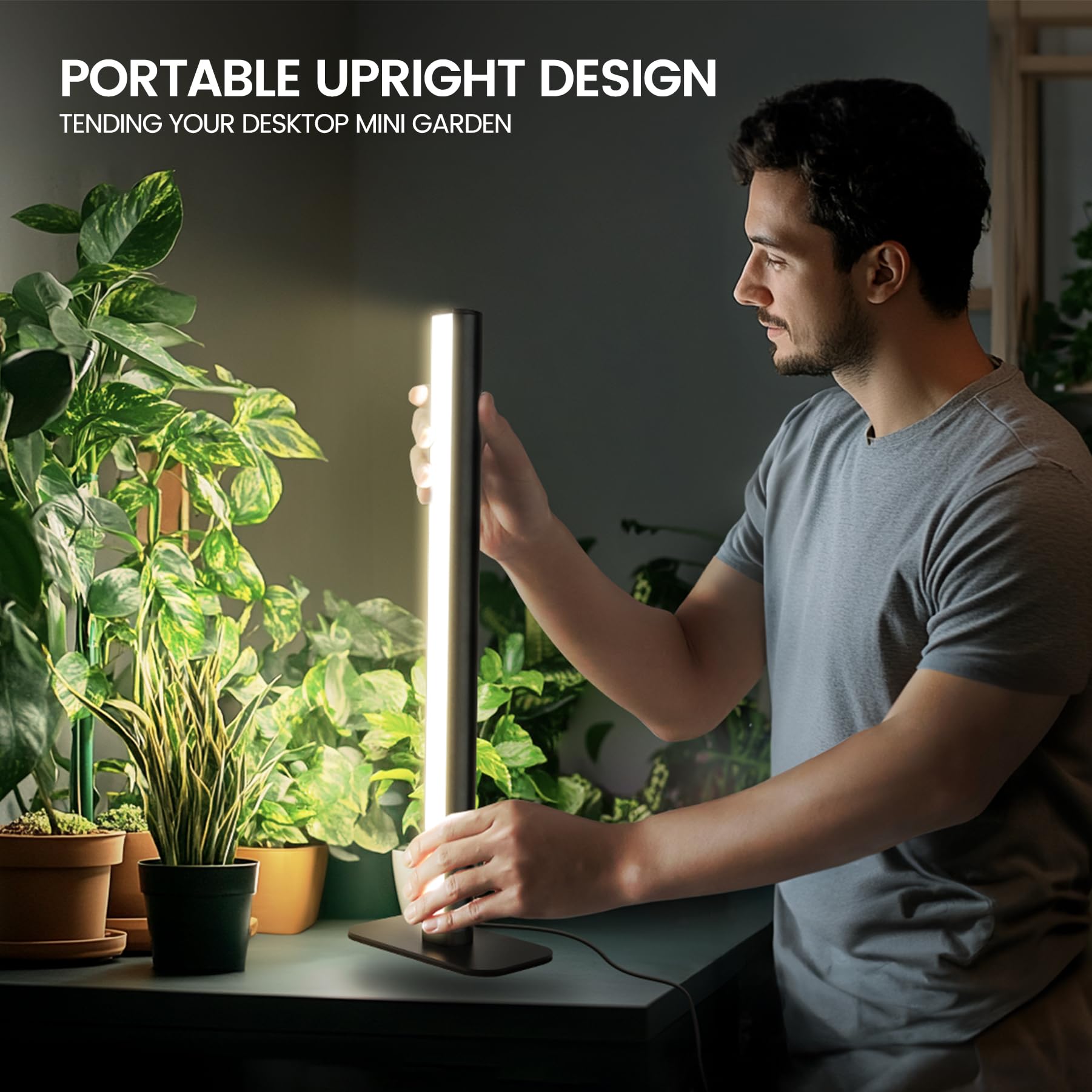 MistyJungle next to a potted plant showing size and scale benefit