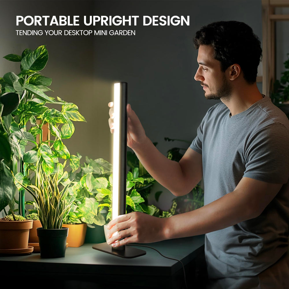 MistyJungle next to a potted plant showing size and scale benefit