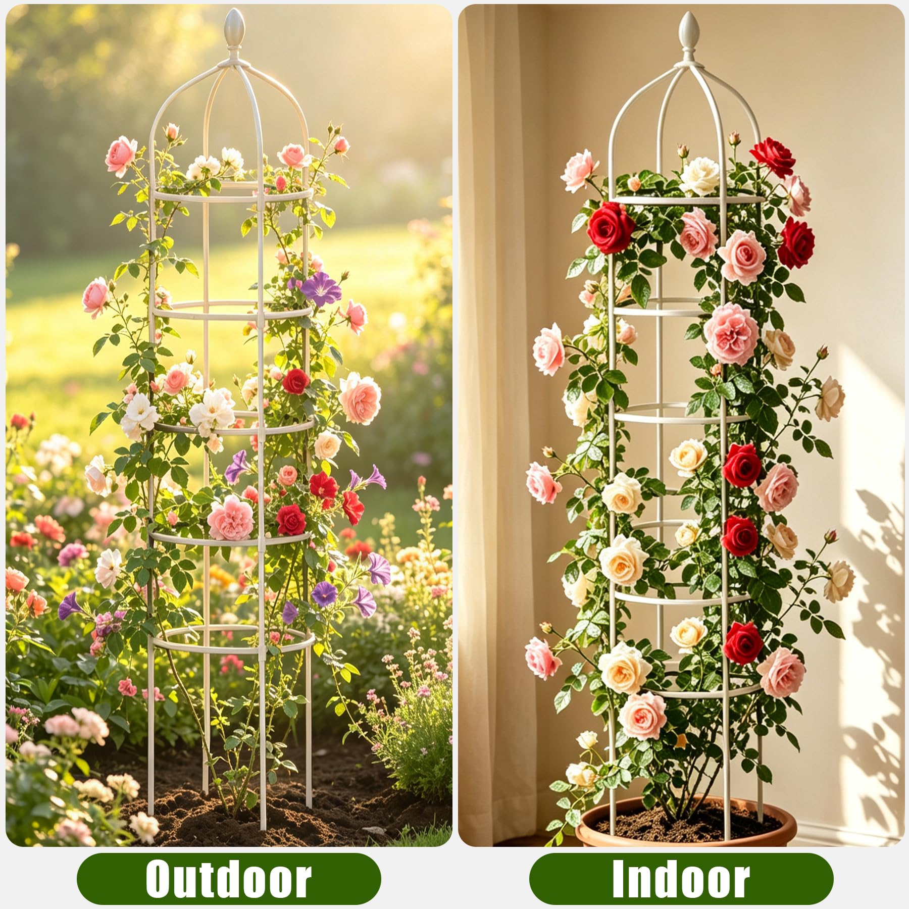 Miuwauer lush vines trained up trellis improving airflow and light exposure