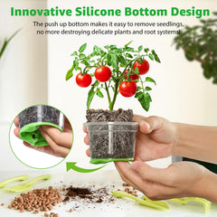 MIXC pots holding seedlings on tray demonstrating root visibility benefit