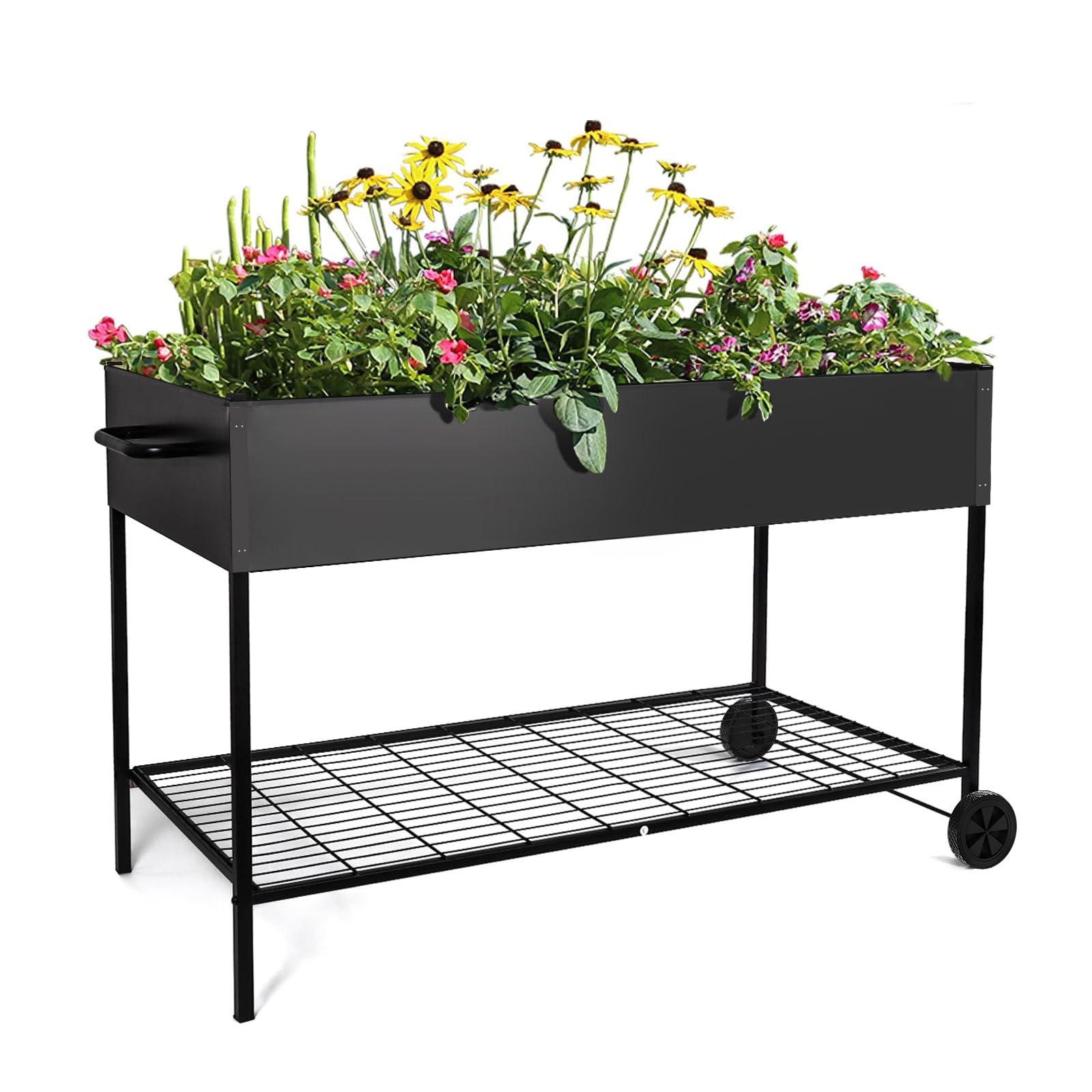 MIXC front view showing full raised garden bed and planting capacity
