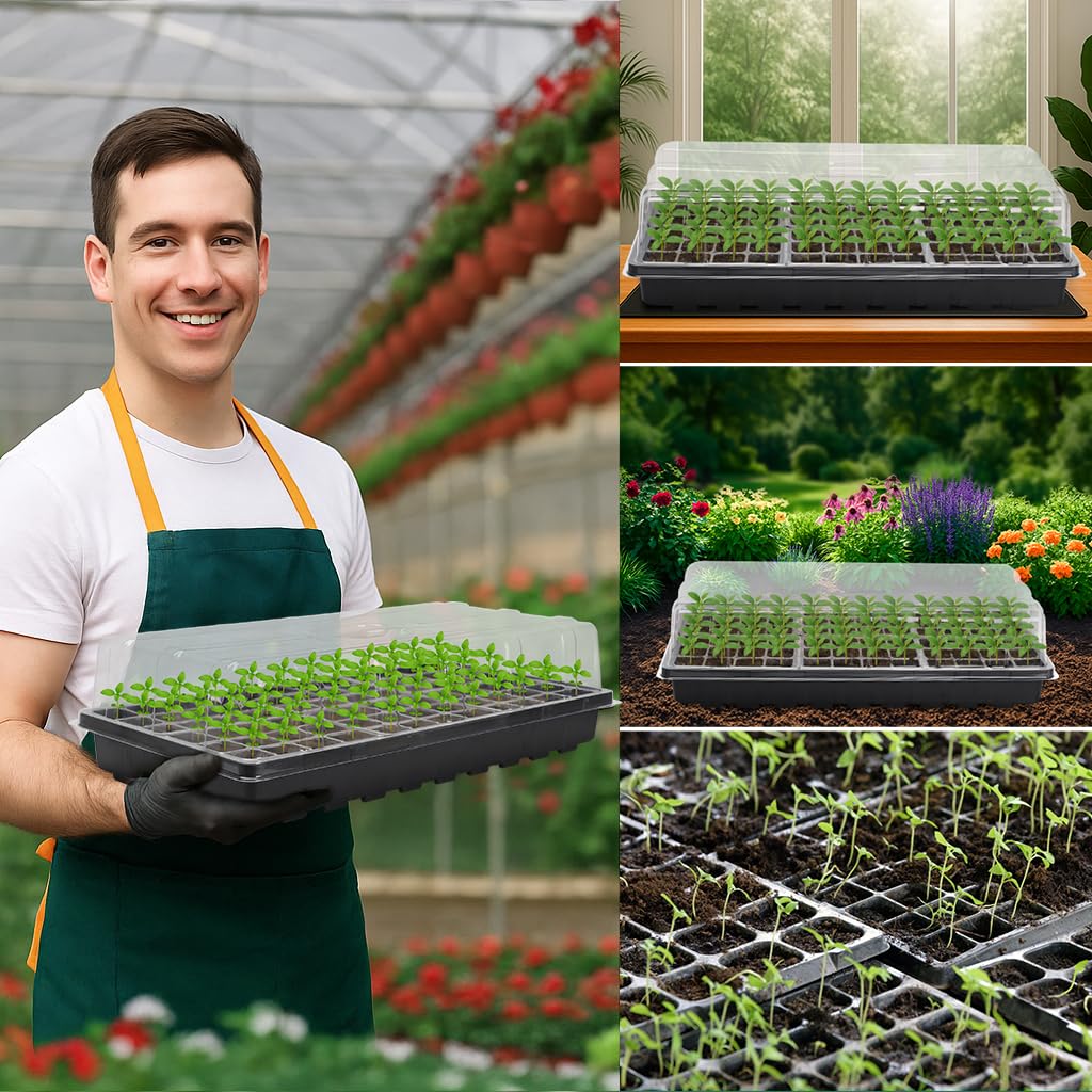 MIXC lifestyle image on table demonstrating tidy mini-greenhouse for home gardeners